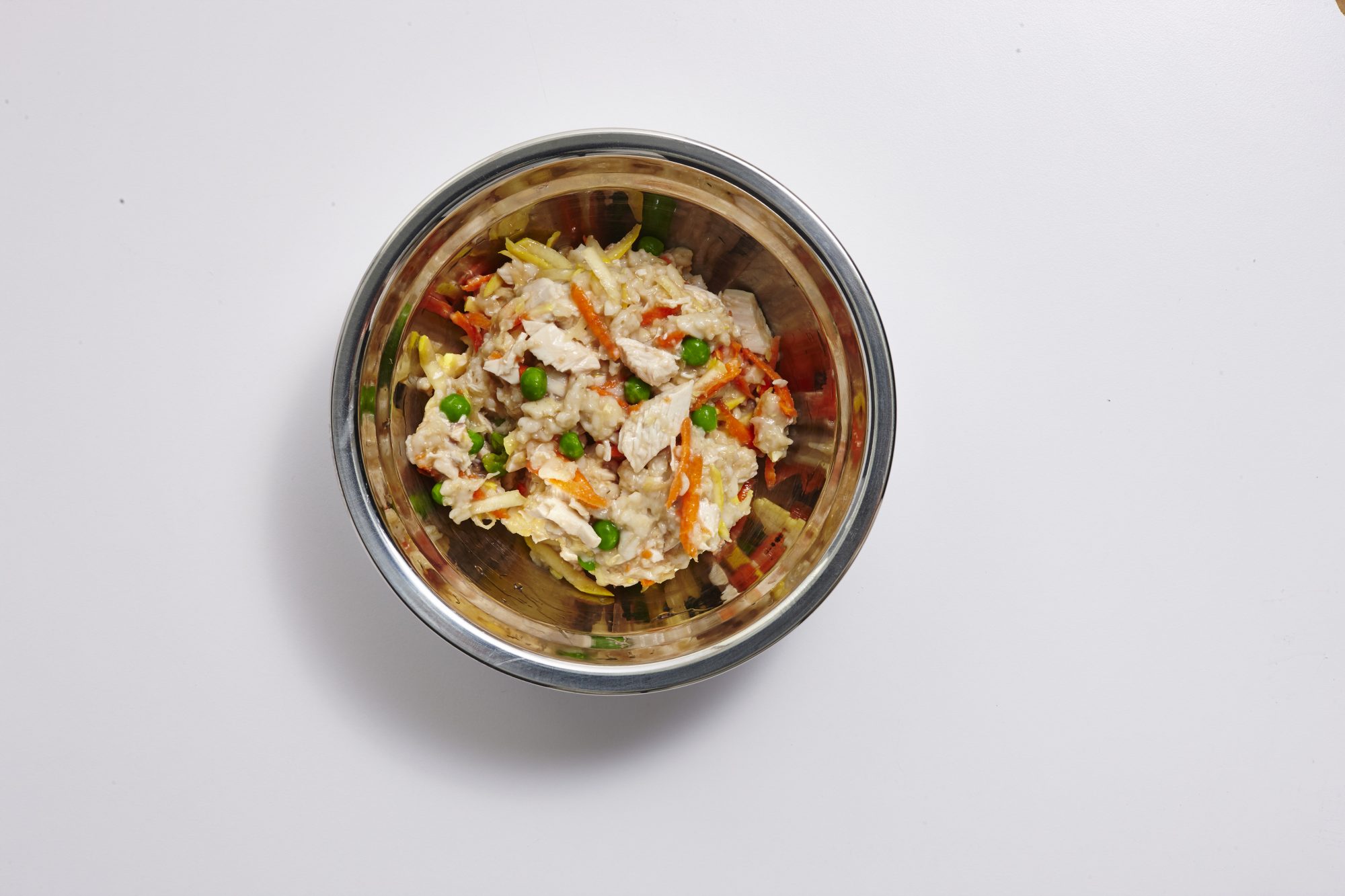 Healthy Homemade Dog Food