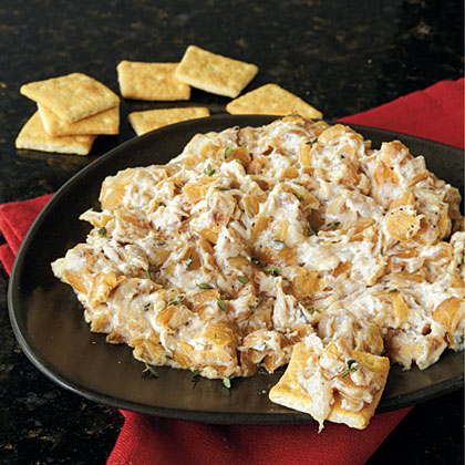 Warm Caramelized Onion Dip